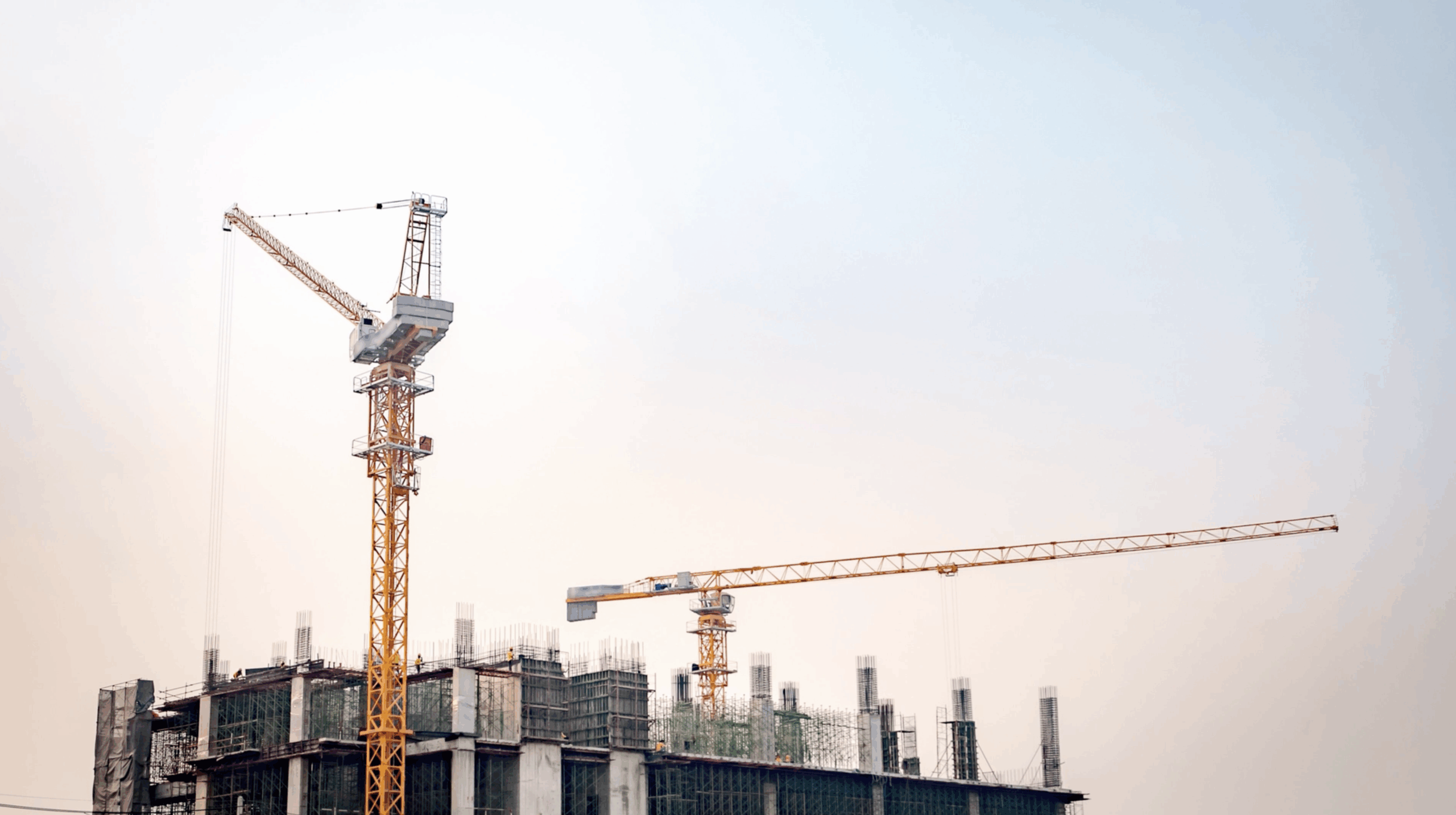 cranes